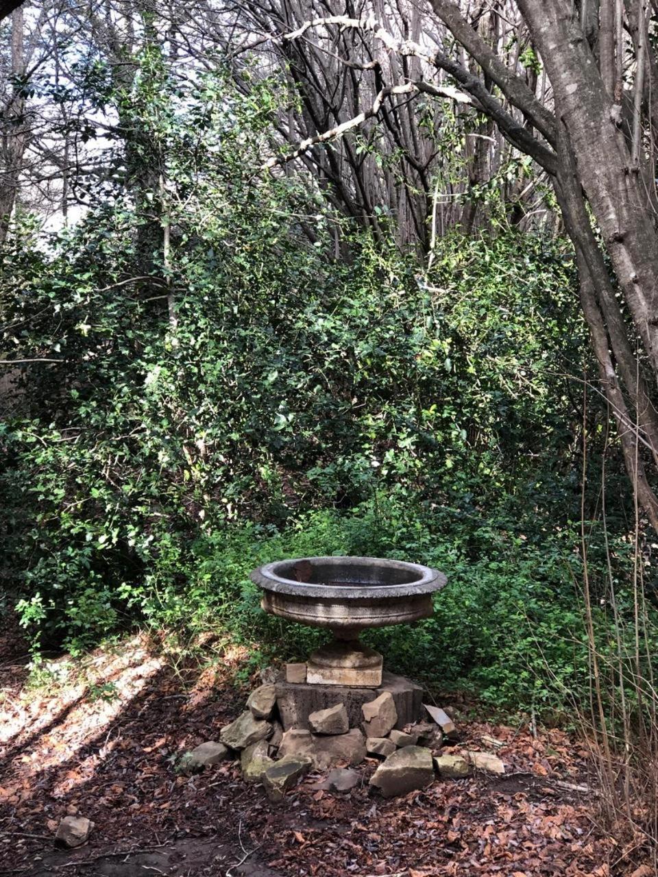 Back O' The Moon Holiday Cottage Hogsback Extérieur photo