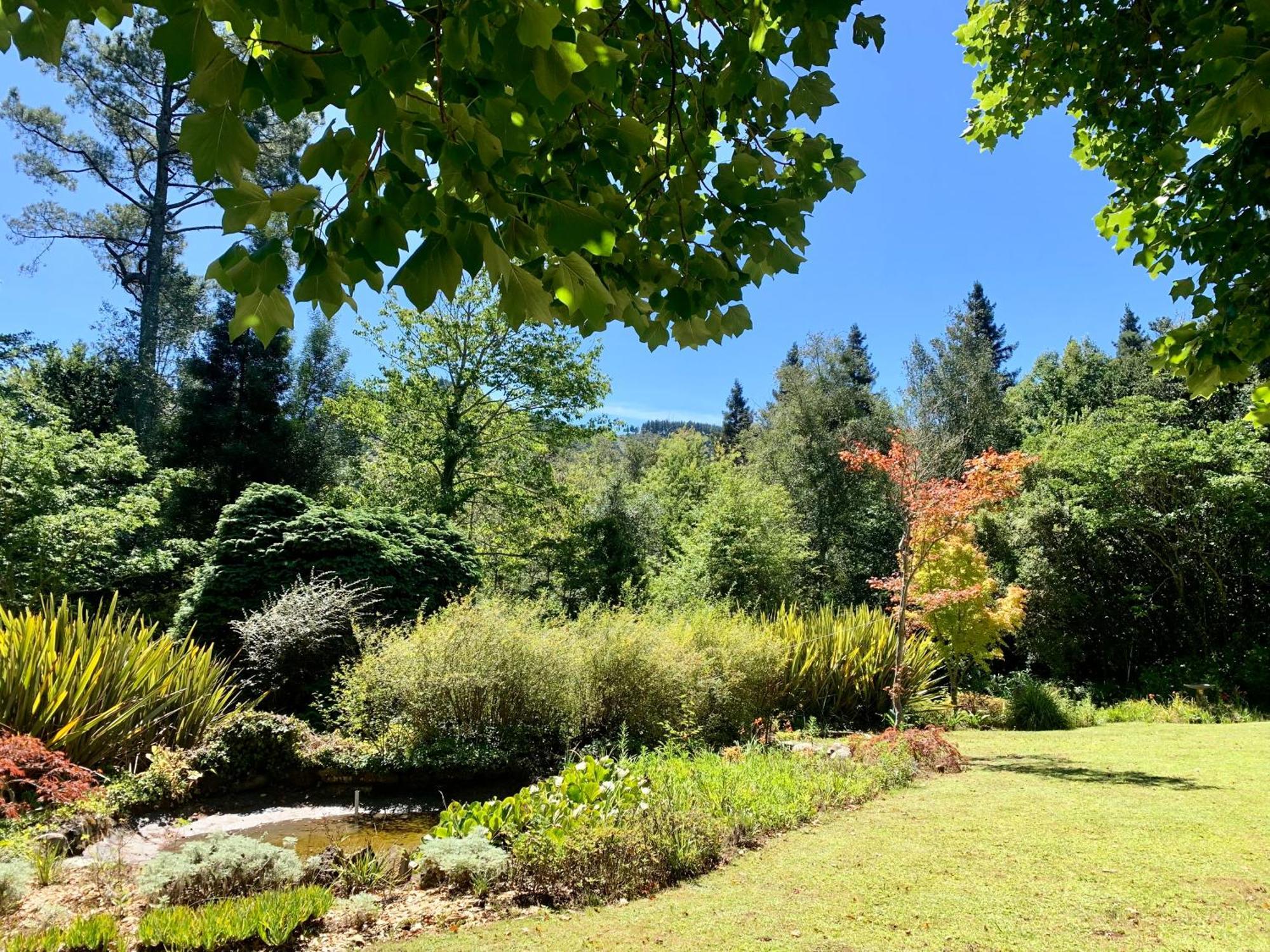 Back O' The Moon Holiday Cottage Hogsback Extérieur photo