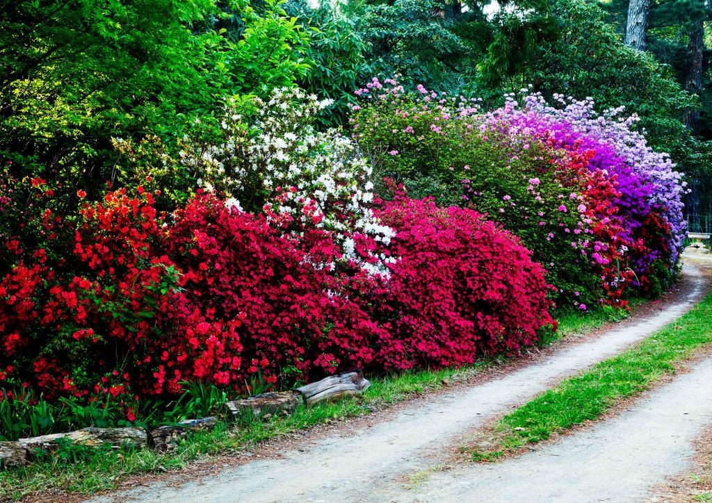 Back O' The Moon Holiday Cottage Hogsback Extérieur photo