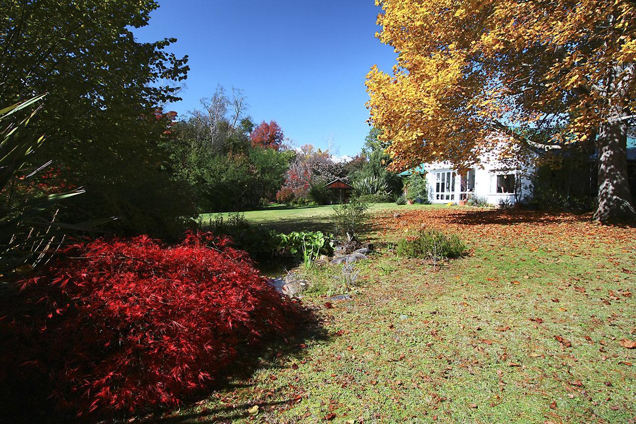Back O' The Moon Holiday Cottage Hogsback Extérieur photo