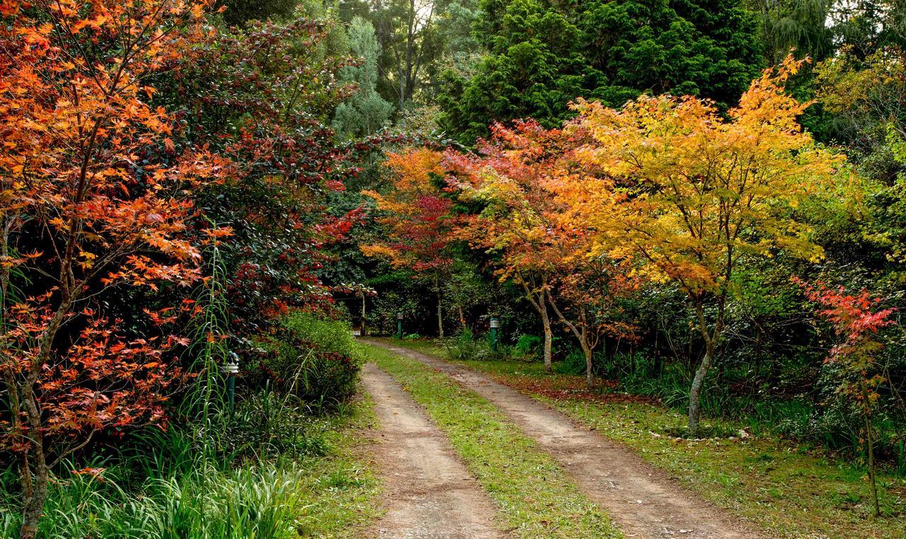 Back O' The Moon Holiday Cottage Hogsback Extérieur photo